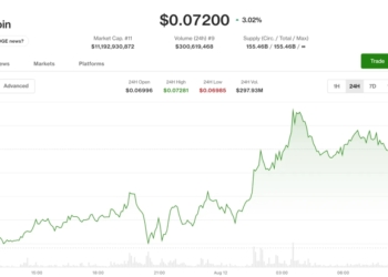 Dogecoin y BNB se disparan mientras Bitcoin se acerca a los $63,700 en caída libre