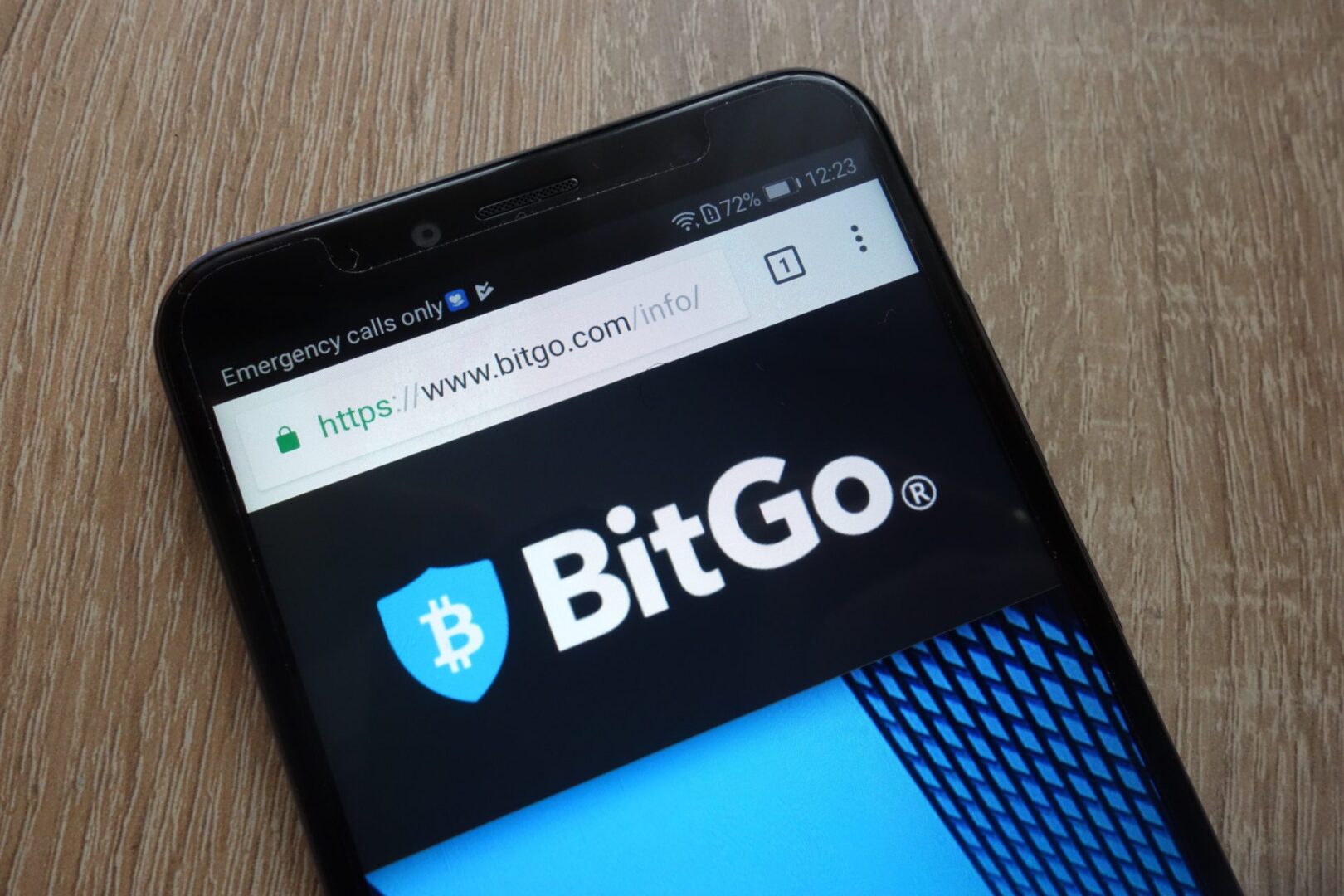 BitGo aumenta sus ingresos exponencialmente, pero aún enfrenta enormes pérdidas financieras.