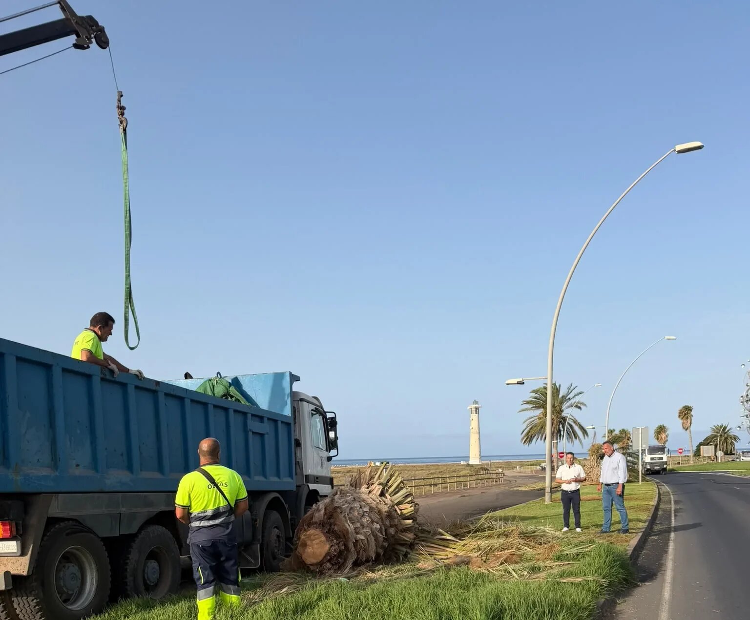 Pájara transforma Solana Matorral con un ambicioso proyecto para revitalizar sus áreas verdes. 1 Pájara transforma Solana Matorral con un ambicioso proyecto para revitalizar sus áreas verdes.