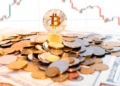 Las ballenas del bitcoin vuelven a moverse mientras el precio se desploma