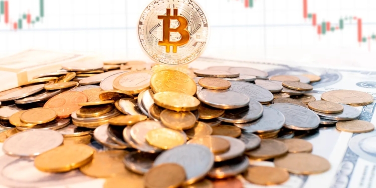 Las ballenas del bitcoin vuelven a moverse mientras el precio se desploma