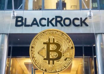 BlackRock: Bitcoin se acerca al oro y se aleja del riesgo 6 BlackRock: Bitcoin se acerca al oro y se aleja del riesgo