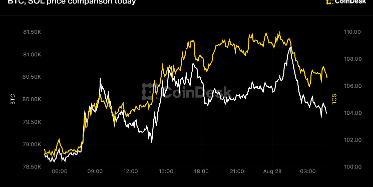 Bitcoin ronda los 80.000 dólares y Solana lidera las subidas 1 Bitcoin ronda los 80.000 dólares y Solana lidera las subidas