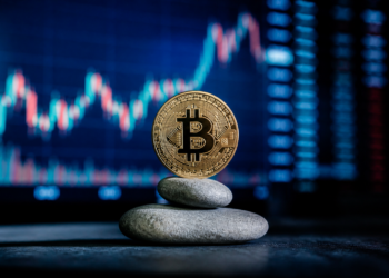 La estabilidad del protocolo de Bitcoin importa más que su precio