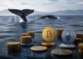 Ballenas acumulan más de 30.000 BTC mientras suben Bitcoin y Ethereum
