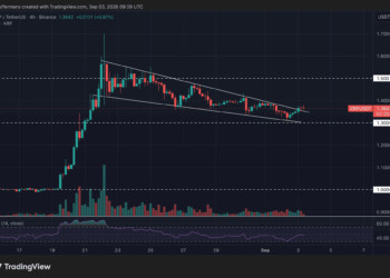 XRP supera a Bitcoin en negociación en Bitvavo y ARB destaca