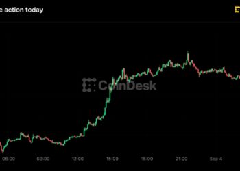 Bitcoin supera los 81.000 dólares y Zcash lidera con un 15%