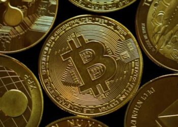 Cajas frías y granjas cripto: la red alternativa al sistema financiero