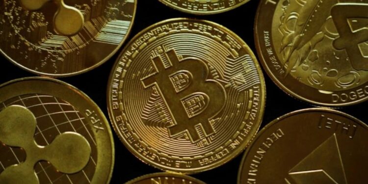 Cajas frías y granjas cripto: la red alternativa al sistema financiero
