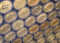Malone Lam admite organizar robo de 245 millones en bitcoin
