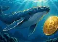Ballenas de Bitcoin, reservas en exchanges y flujos de ETF semanales