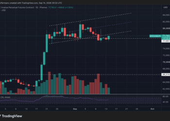 Bitcoin rebota y encara los 80.000 dólares, pero persiste el riesgo bajista 4 Bitcoin rebota y encara los 80.000 dólares, pero persiste el riesgo bajista