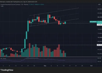 Bitcoin rebota y encara los 80.000 dólares, pero persiste el riesgo bajista 5 Bitcoin rebota y encara los 80.000 dólares, pero persiste el riesgo bajista