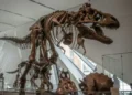 Yakovenko impulsa en Solana un cráneo de Triceratops por 660.000 $