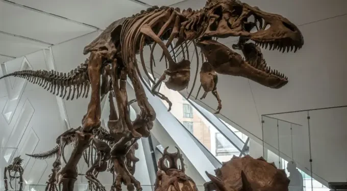 Yakovenko impulsa en Solana un cráneo de Triceratops por 660.000 $