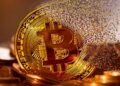 Bitcoin sube de 64.000 a 79.000 dólares por liquidaciones de cortos