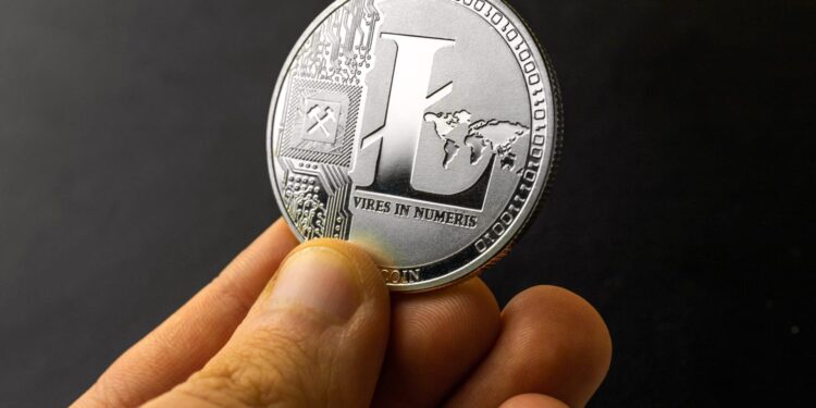 Litecoin sube un 8% hasta 71 dólares pese a la caída cripto