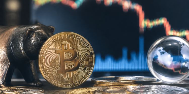 Bitcoin: proveedor reporta caída del 2,35% pese a un cierre superior 1 Bitcoin: proveedor reporta caída del 2,35% pese a un cierre superior