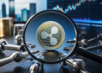 XRP Ledger bajo lupa: 110 bots dominan los pagos en RLUSD 4 XRP Ledger bajo lupa: 110 bots dominan los pagos en RLUSD