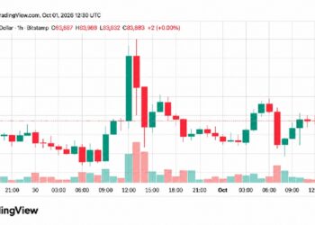 Bitcoin ronda los 84.000 dólares, pero los osciladores frenan el avance