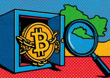 ONG denuncia opacidad en las reservas de bitcoin de El Salvador 4 ONG denuncia opacidad en las reservas de bitcoin de El Salvador