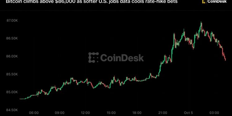Bitcoin roza los 87.000 dólares, pero cae por debajo de 86.000