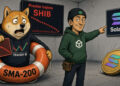 SHIB cae 7,69% hasta USD 0,0000053 y prueba soportes