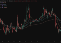 Bitwise y MetaMask coinciden: el criptoinvierno ha terminado