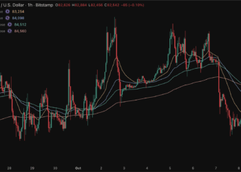 Bitwise y MetaMask coinciden: el criptoinvierno ha terminado