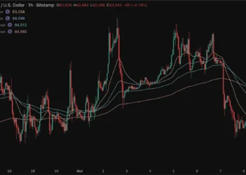 Bitwise y MetaMask coinciden: el criptoinvierno ha terminado 5 Bitwise y MetaMask coinciden: el criptoinvierno ha terminado