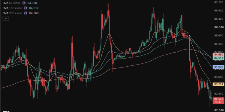 Bitwise y MetaMask coinciden: el criptoinvierno ha terminado