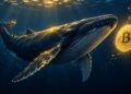 Ballenas de bitcoin acumulan, pero las salidas de ETF generan cautela