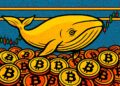Ballenas de bitcoin marcan récord y el mercado vigila tres niveles