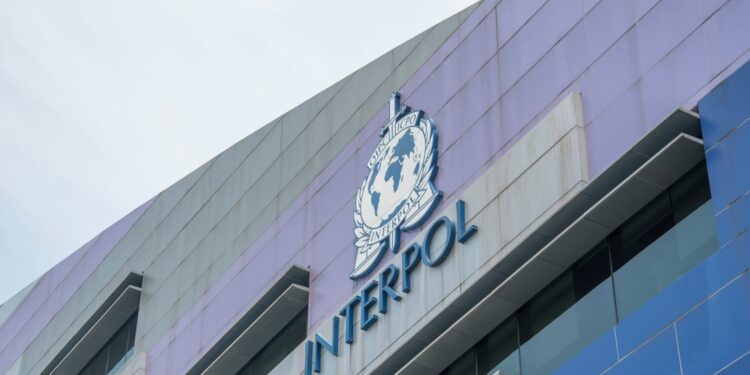 Interpol detiene a 1.462 sospechosos en África por ciberdelitos